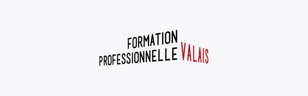 Logo Formation prof VS.jpg