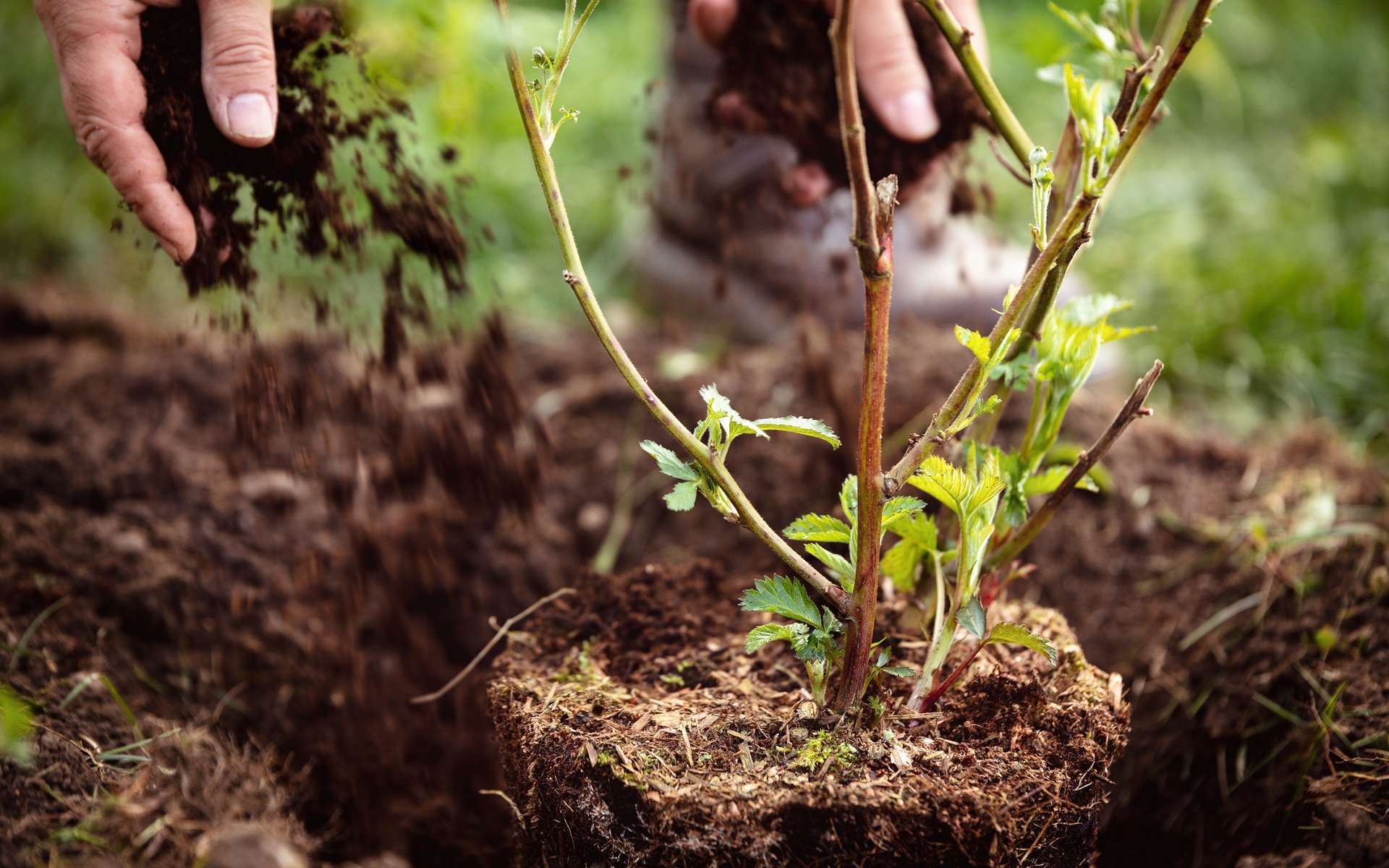 JardinSuisse Valais - association valaisanne des paysagistes, Sion, Suisse