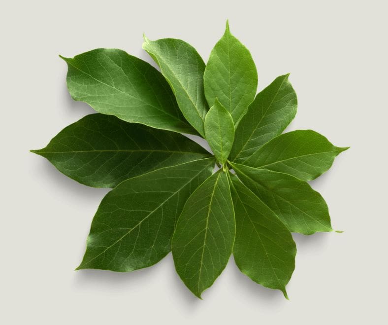 JardinSuisse Valais - association valaisanne des paysagistes, Sion, Suisse