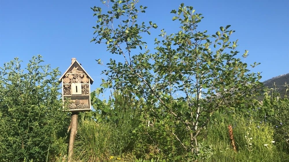 JardinSuisse Valais - association valaisanne des paysagistes, Sion, Suisse